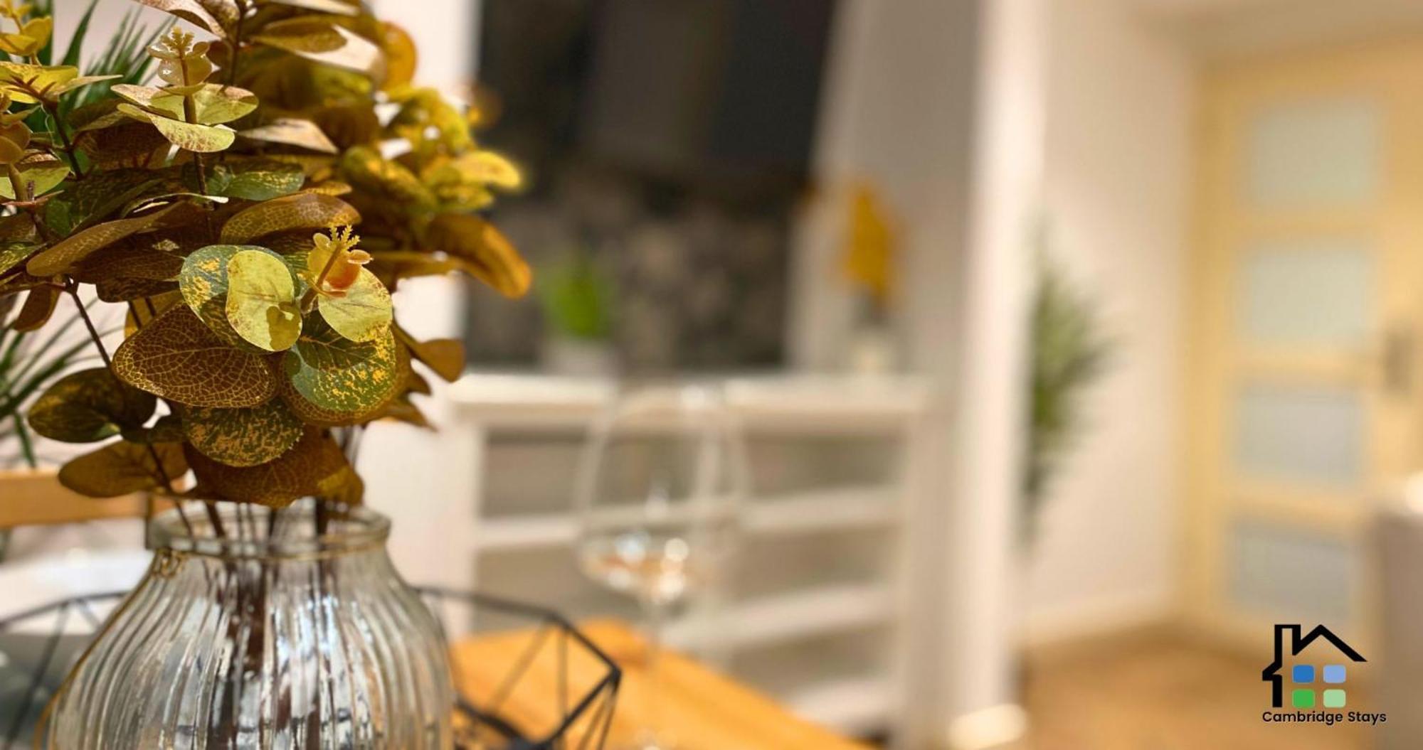 קאמברידג' Stunning 1Br - Super Central- Peaceful Area - Lower Ground Apartment מראה חיצוני תמונה
